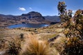 Lanscape in Cajas National Park Azuay Ecuador Royalty Free Stock Photo