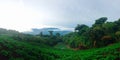 Lanscape of Costarrican Mountains by the morning. Breathtaking scene of a rainforest. Royalty Free Stock Photo