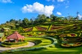 Lanscape of garden park at doi mae salong