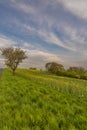 Lanscape near Kvasice village with green meadows and trees