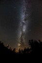 Milky Way and tree on the Beskydy mountains in Czech Republic.