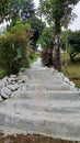 Lanscape of stone stairs in a garden