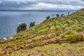 Lanscape at Taquile Island. lake Titicaca in Peru Royalty Free Stock Photo