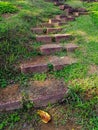 The lanscape view of walking path at Bukit Suria, Botanical Garden Putrajaya , MalaysiaOrchid