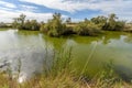 Lansdcape green water in a pond in France.