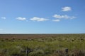 Lansdcape marsh Royalty Free Stock Photo