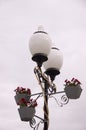 Lantern with blooming flowers. Autumn with dark sky