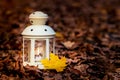 Lantern With A Candle Among The Autumn Dry Leaves At Night