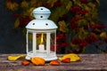 Lantern With A Candle In The Autumn Garden Near The Viburnum In The Evening In Autumn