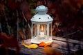 Lantern With A Candle In The Autumn Garden At Night