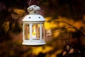 Lantern With A Candle On A Tree In The Autumn Garden On A Dark Background