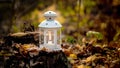 Lantern With A Candle In The Woods On A Stump Among The Autumn Leaves