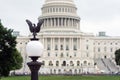 Lantern with an eagle and blurred view of the Capitol building from the back - image