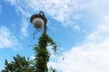 Lantern entwined with climbing plant