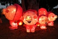 Lantern Festival for the Chinese Year of the Pig Royalty Free Stock Photo