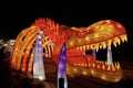 Lantern Festival in Toronto - A bone skeleton of a dinosaur is displayed outdoors