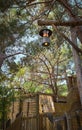 Lantern hanging in wooded area