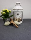Lantern light with kalanchoe indoor plant with easter eggs and driftwood at grey background
