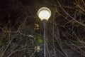 Lantern Light at Night between Branches Royalty Free Stock Photo