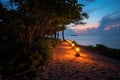 a lantern-lit path leading to a tropical beach at dusk