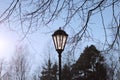 Lantern in the park in the spring sunlit by the sun.