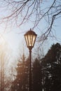 Lantern in the park in the spring sunlit by the sun.