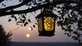 lantern in the park at sunset A lantern hanging from a tree branch on a dark night. The lantern is yellow