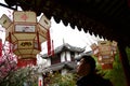 Lantern and plum blossom