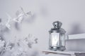 Silver Lantern with white light background