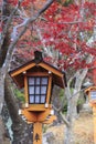 Lantern in shintoist temple at Shimoyoshida, Fujioshida