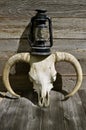Lantern on top of a beef skull