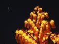 Lantern tree and the moon