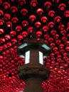 Lanterns on Buddha's Birthday, Seoul, Korea Royalty Free Stock Photo