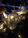 Lanterns in the form of bottles with Christmas trees and snow inside