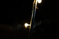 Lanterns on tent poles, nocturnal insect clinging to the lights, yellow lights at night