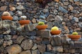 Lanzarote Guatiza cactus garden pots in a row