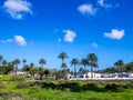 Lanzarote - Haria palm village