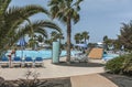 beautiful palm trees by the hotel pools in lanzarote