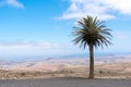 Lanzarote landscape