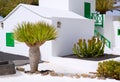 Lanzarote san Bartolome monumento Campesino