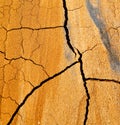 lanzarote spain texture abstract dry sand Royalty Free Stock Photo