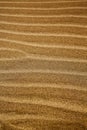 in lanzarote spain texture abstract dry sand and the beach Royalty Free Stock Photo