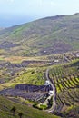 Lanzarote, terrace cultivation near Haria Royalty Free Stock Photo