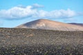 Lanzarote vineyards build on lava, La Geria wine region, malvasia grape vine in winter