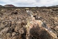 Lanzerote volcano