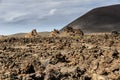 Lanzerote volcano