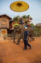 Lao Elephant Festival, Hongsa, Laos.