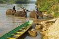 Lao people cross river with elephants at sunrise in Luang Prabang, Laos. Royalty Free Stock Photo