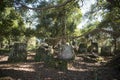 LAO PHONSAVAN PLAIN OF JARS Royalty Free Stock Photo