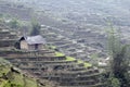 Laocai Vietnam April 18 2015 Vietnam Paddy fields, terraced culture, Sapa, Vietnam